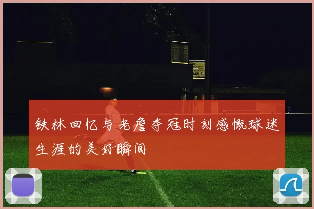 铁林回忆与老詹夺冠时刻感慨球迷生涯的美好瞬间